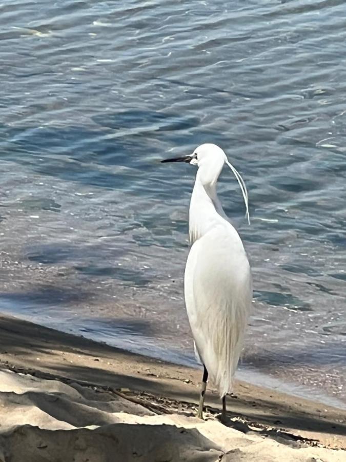 Kallithea Nea Iraklitsa Luaran gambar